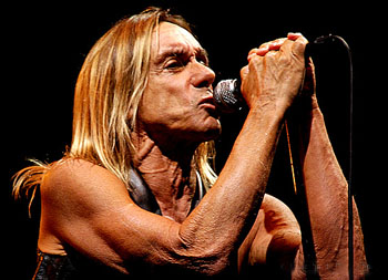 Iggy Pop, photo by Moonshayde Photography